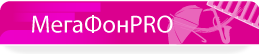 Порталы МегаФонPRO